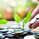 Image for article titled The Onion’s Guide To Socially Responsible Investing